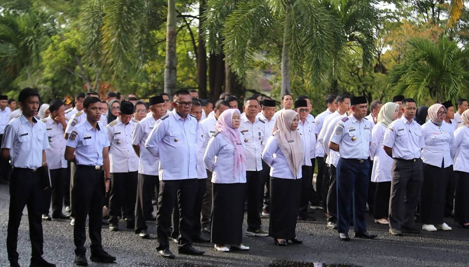 Kaur Usulkan 165 Formasi CPNS