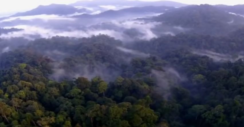 Ladang Minyak dan Emas di Bengkulu, Pernah Disambangi Si Pahit Lidah, Manusia Sakti Dari Sumatera Selatan
