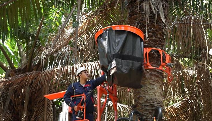 e-BHAR, Alat Panen TBS untuk Pohon Kelapa Sawit Tinggi! Kerja Lebih Cepat dan Efisien