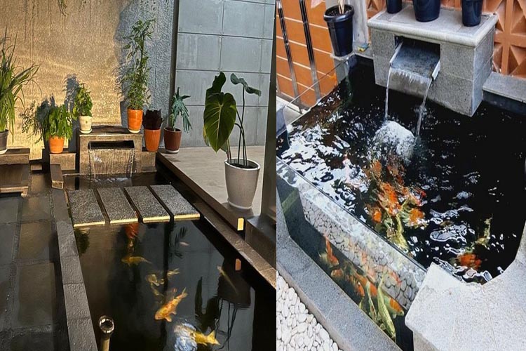 Inspirasi Kolam Ikan Koi Depan Rumah yang Estetis dan Menenangkan