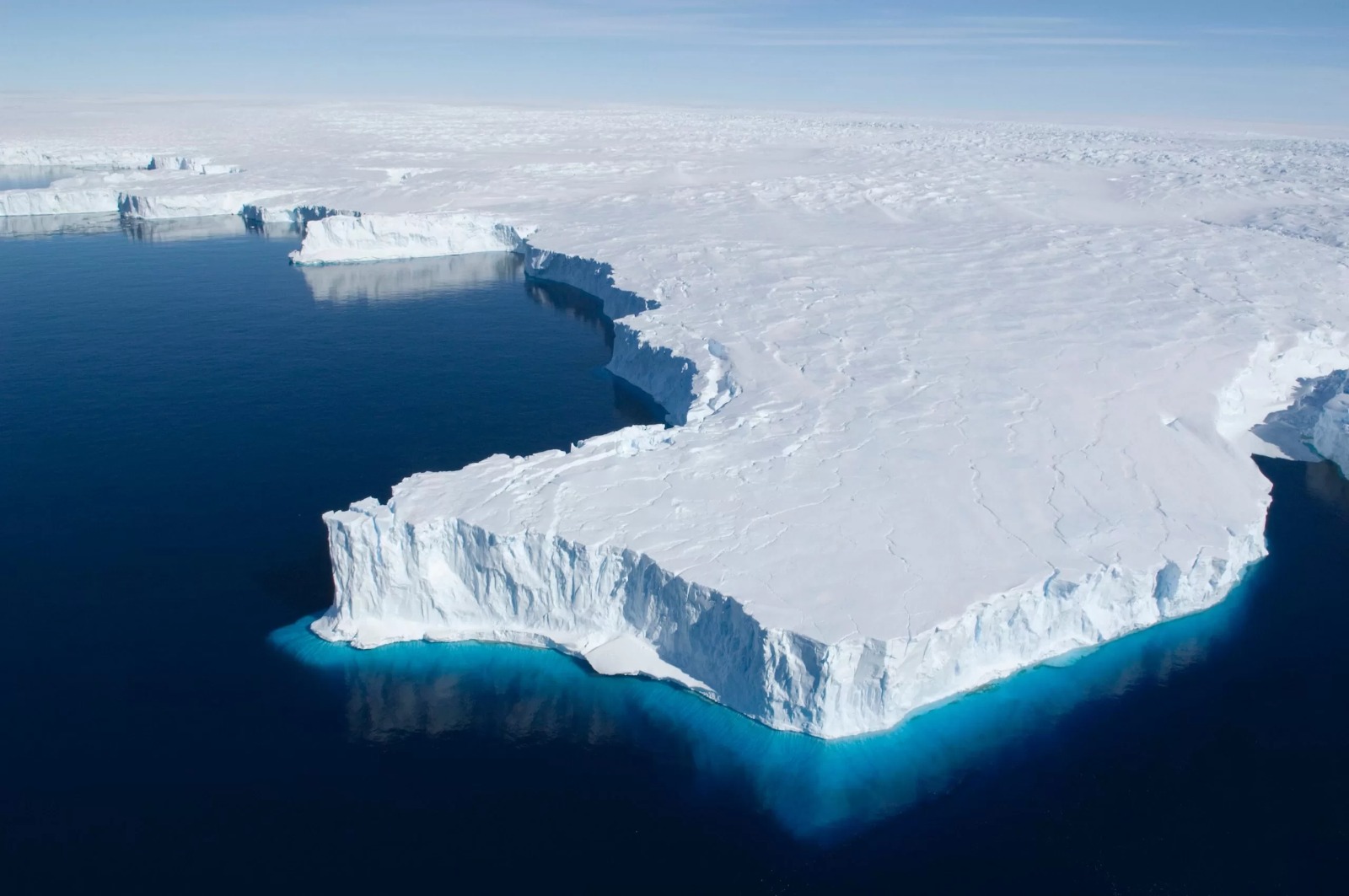 Pertanda Buruk! Gunung Es Antartika Mencair, Bunga Bermekaran di Gunung Itu, Para Ilmuan Mulai Cemas