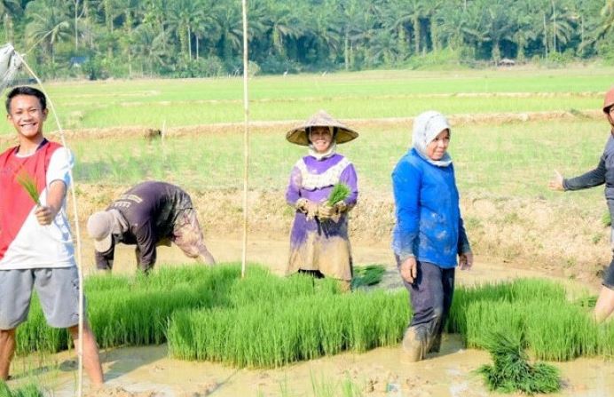 Kementan Luncurkan Program Petani Milenial, Gaji Rp 10 Juta per Bulan, Usia Minimal 19 Tahun