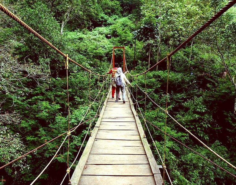 Tahura Geluguran Resmi Ditetapkan, Pengawasan Masih Terkendala