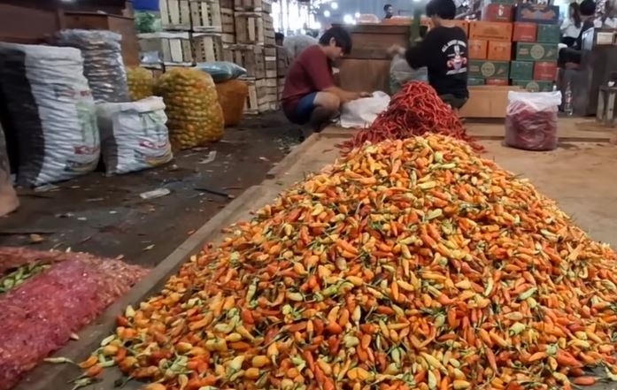 Kabar Baik Petani Cabai! Harga Cabai Rawit Merah Melonjak, Tembus Rp 70 Ribu Per Kilogram