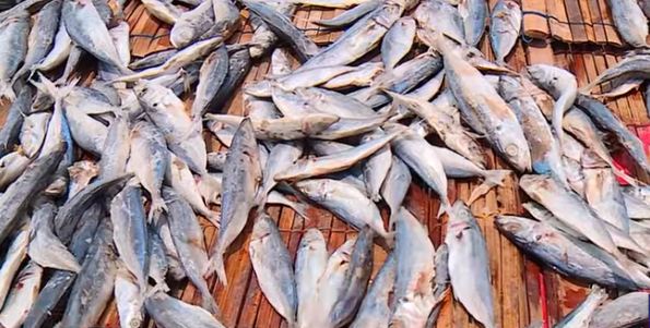 Gawat....! Konsumsi Ikan Asin Berlebihan Bisa Sebabkan Kanker,  Berikut Hasil Penelitiannya