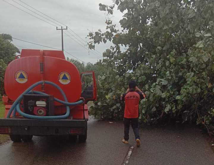 BREAKING NEWS: Jalan Padang Panjang Tertutup Pohon Tumbang