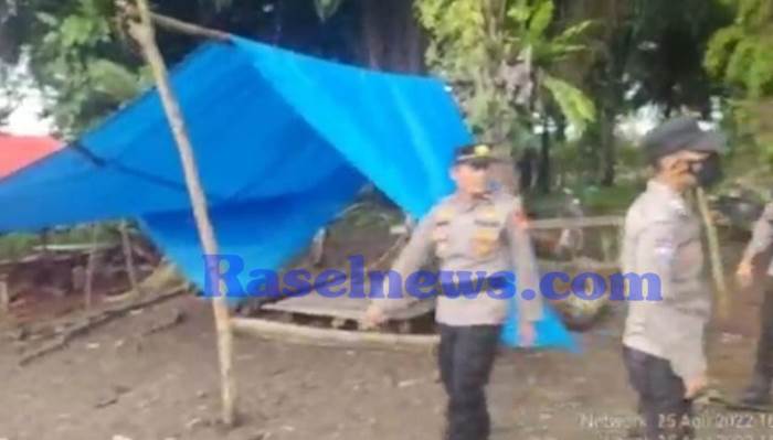 BREAKING NEWS: Arena Judi Sabung Ayam di Kaur Digerebek Polisi