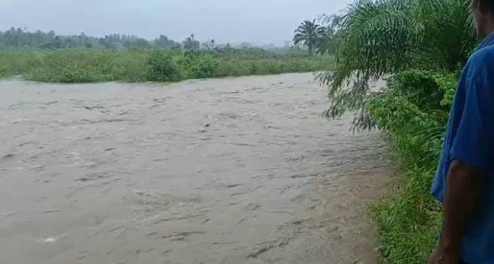 BREAKING NEWS : 4 Perempuan di Bengkulu Selatan Terseret Arus Sungai Air Kedurang, Begini Kondisinya