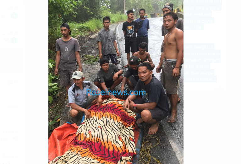 BREAKING NEWS: Tebing Batu Lampung Makan Korban Lagi, Mobil Pupuk Subsidi Terjun ke Jurang, Sopir MD