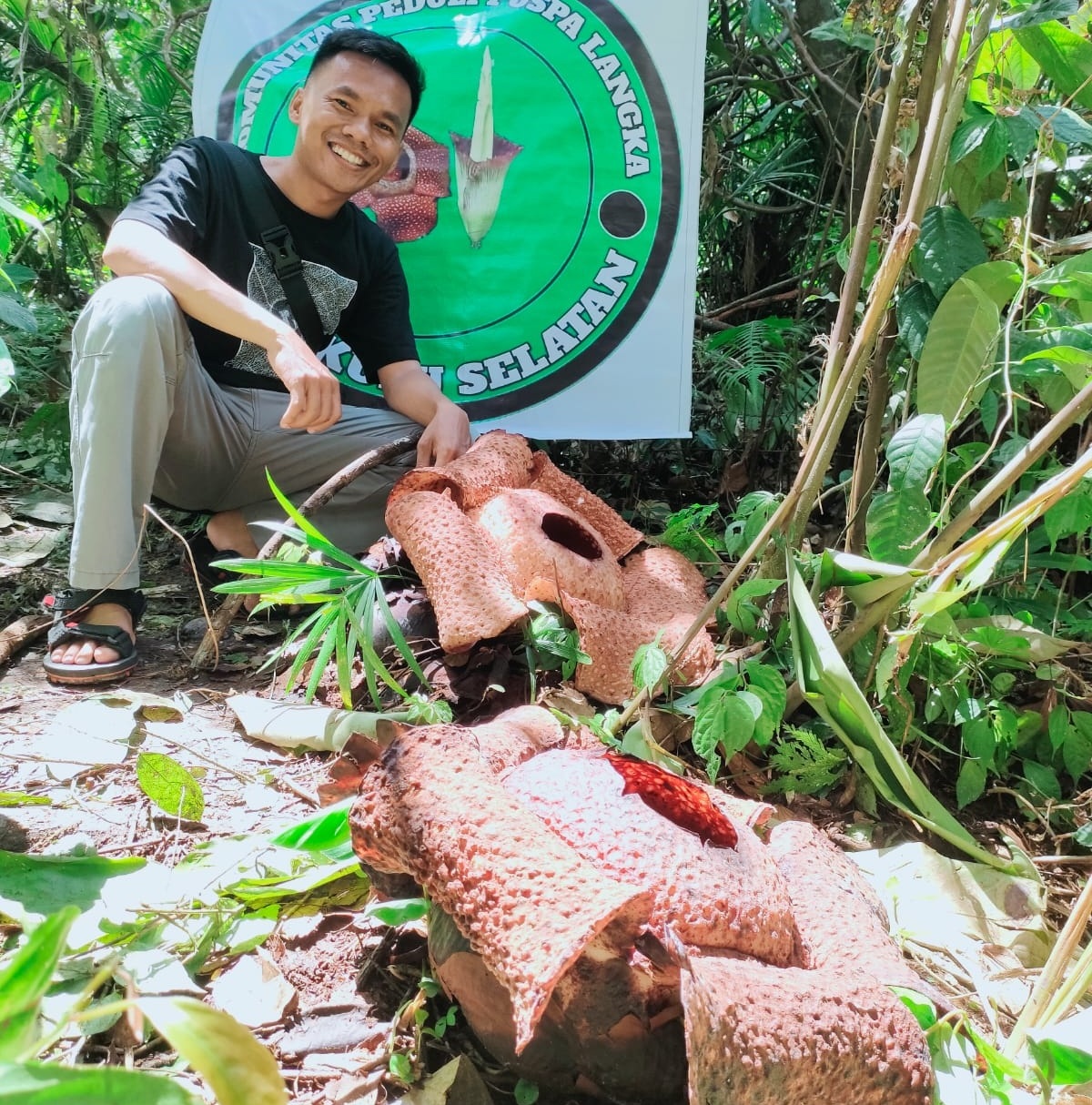 2 Bunga Rafflesia Mekar Sempurna di Bengkulu Selatan