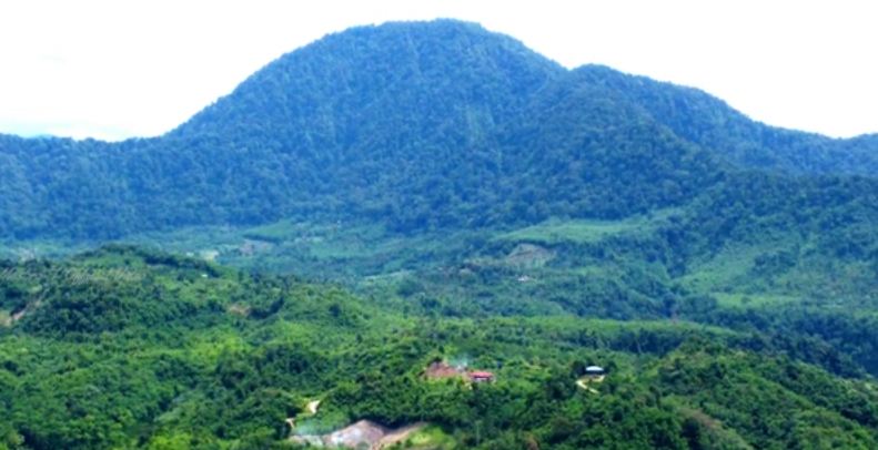 Kawasan Hutan Konservasi Bengkulu Selatan Terancam, Pembalakan Liar Meraja Lela, Polisi Turun Turun Tangan