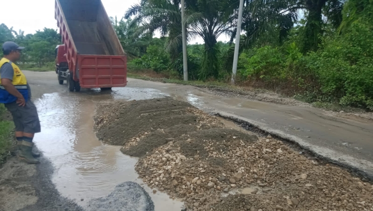 Proyek Perbaikan Jalan di Kaur, Bengkulu Selatan, dan Bengkulu Tengah Dilelang