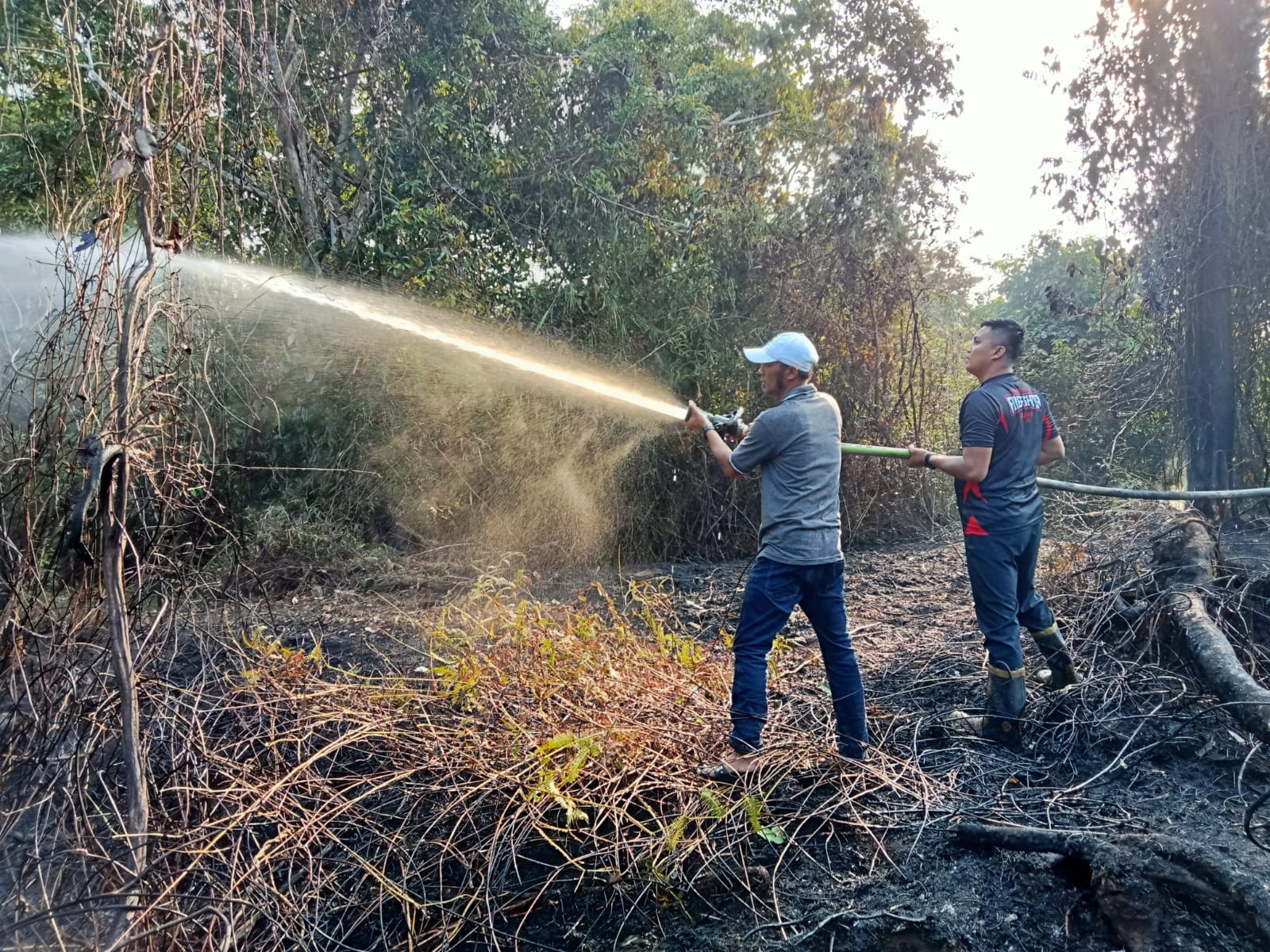 Sumber Api yang Membakar Hutan di Bengkulu Selatan Terungkap, Jangan Diulangi Lagi Ya! 