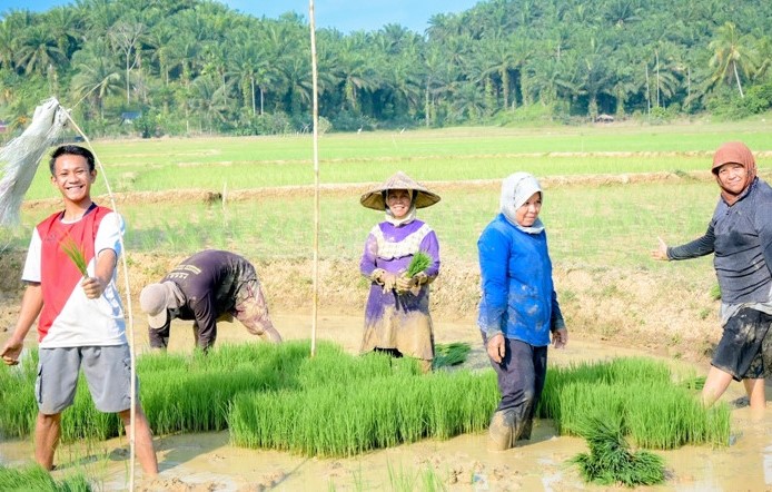 BRI Tawarkan KUR untuk Petani Plafon Rp 80 Juta Bunga Rendah, Cek Syarat dan Cicilan Per Bulan
