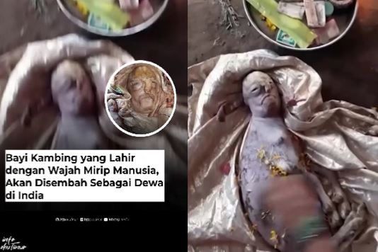 Geger Anak Kambing Berwajah Manusia, Tapi Cuma Bertahan 10 Menit