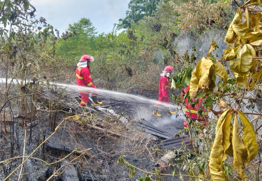 Hutan 10 Hektar di Kabupaten Kaur Terbakar
