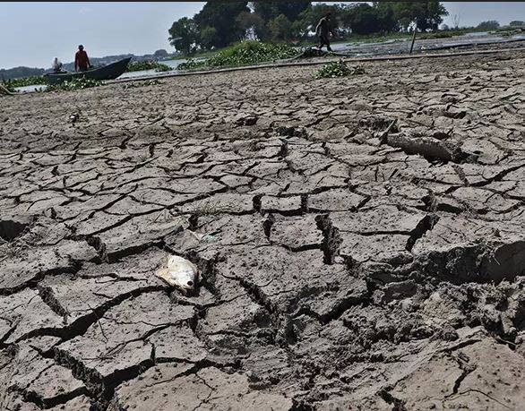 “El Nino ‘Godzilla’ Ancam Mulai April 2026: Risiko Kesehatan hingga Krisis Lingkungan Mengintai”