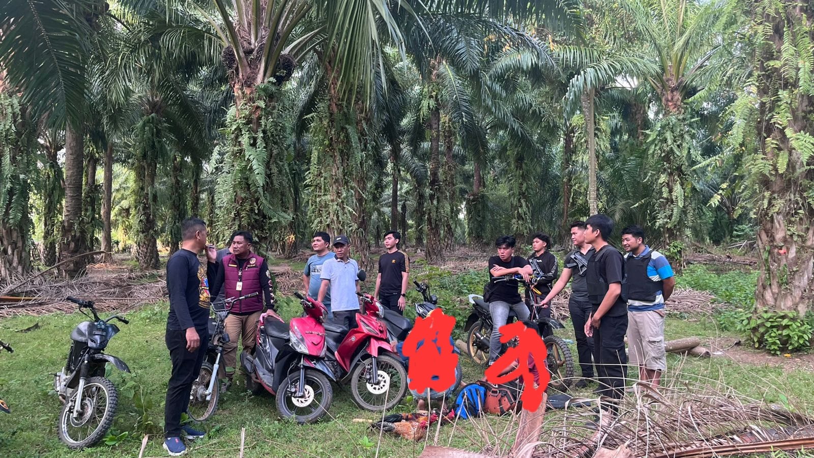 REAKING NEWS ; Polres Kaur Gerek Judi Sabung Ayam dan Dadu di Tanjung Kemuning