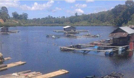 Danau Kuranding, Surga Tersembunyi di Desa Tanjung Beringin