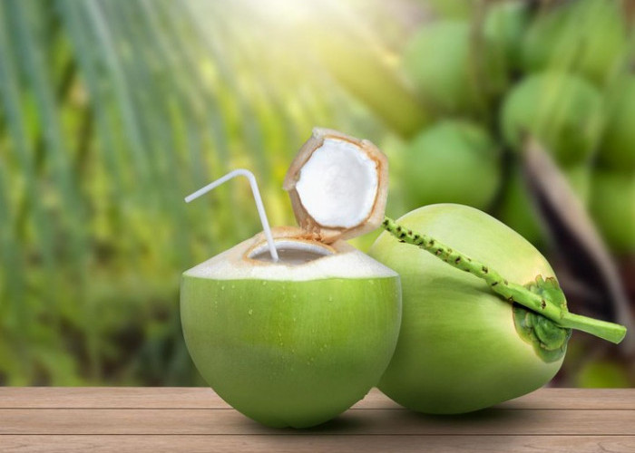 Ternyata 7 Kelompok Ini Sebaiknya Tidak Minum Air Kelapa. Siapa Saja?