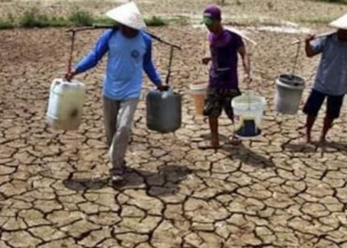 Parah, Dampak El Nino dan Kemarau di Indonesia, 24 Desa di Bengkulu Krisis Air Bersih
