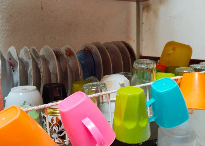 Tak Perlu Mahal, Ini Daftar Peralatan Rumah Wajib agar Hunian Nyaman Sejak Awal