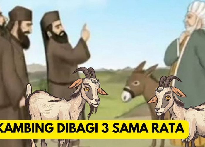 Kecerdikan Abu Nawas Ketika Diminta Membagi 23 Kambing Jadi 3 Secara Adil dengan Mudah