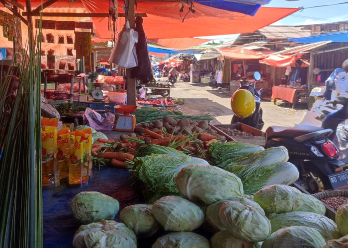 Harga Sayur Mayur di Bengkulu Selatan Mulai Naik 