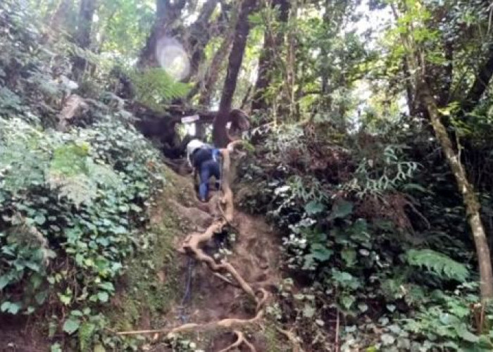 Akibat Sumpah Si Pahit Lidah, Orang Lampung Dilarang Mendaki Gunung Dempo, Jika Nekat Bisa Tersesat