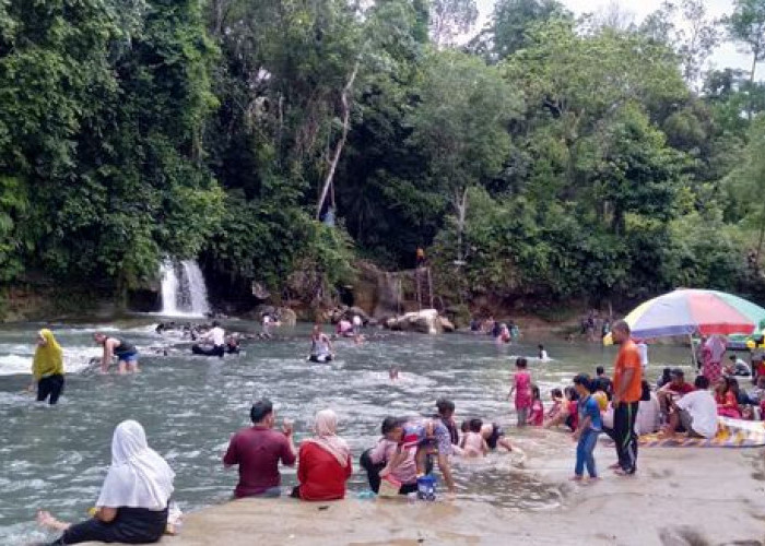 Mengintip Keindahan Desa Wisata Napal Jungur, Nominasi 10 Besar Desa Wisata Bengkulu, Ada Air Terjun Eksotis