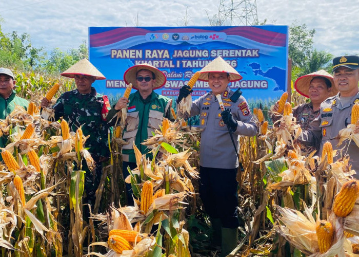 Polres Kaur Dukung Panen Raya Jagung, Kapolres Apresiasi Kerja Keras Petani