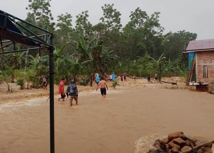 Seluma Diterjang Banjir: 127 Rumah di 9 Desa Terendam, Ternak dan Motor Hanyut