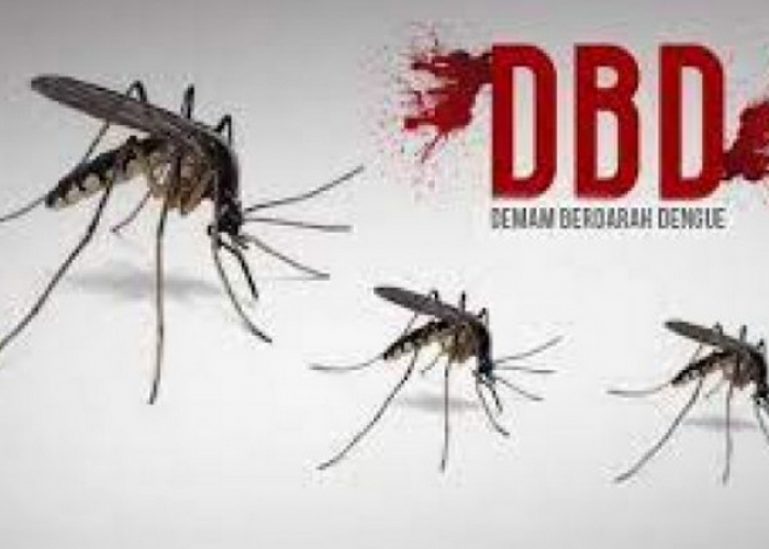 Hujan, Waspada Demam Berdarah Dengue! Nih Cara Mengenali Gejala DBD dan Mencegahnya