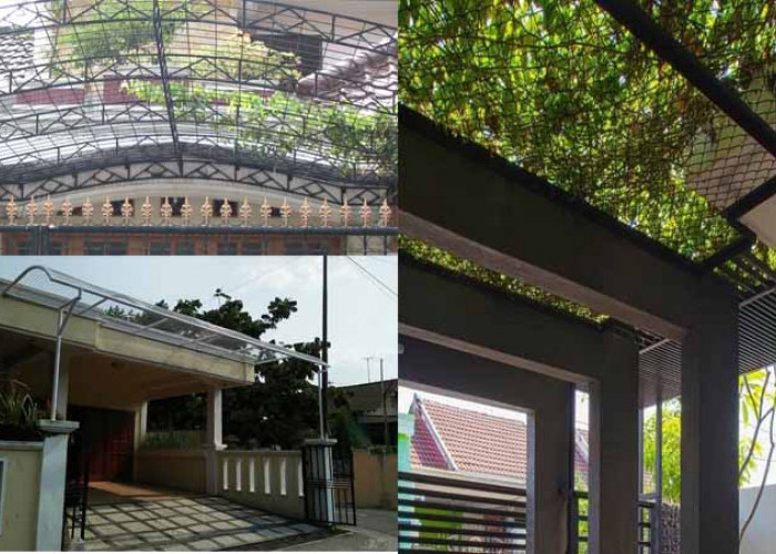 Inspirasi Desain Kanopi Tanaman Rambat yang Bikin Hunian Sejuk dan Aesthetic