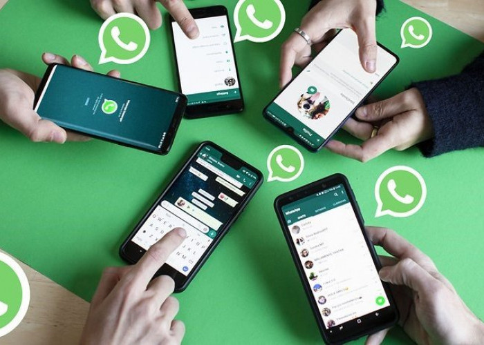 WhatsApp Meriahkan Liburan Akhir Tahun dengan Fitur Seru