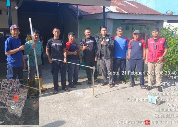 Damkar Bengkulu Selatan Evakuasi Ular Kobra di Permukiman Warga Kayu Kunyit 