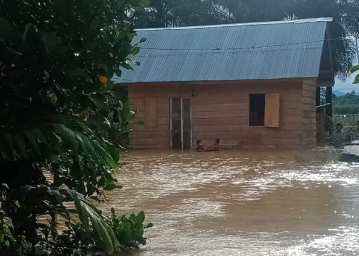Banjir Kembali Kepung Kabupaten Seluma
