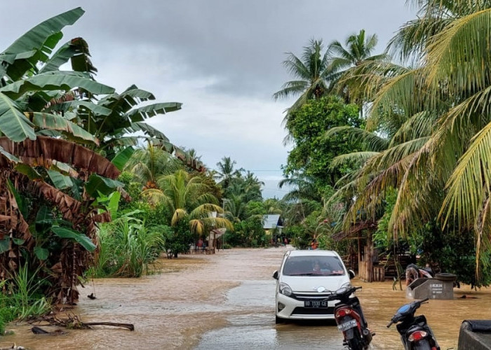 Rumah Terendam, Pohon Tumbang, Dapur Hilang: Bencana Terparah Sepanjang Tahun 2022 di Bengkulu Selatan 