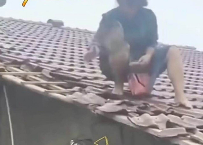 Atap Rumah Masuk Batas Tanah, Wanita Ini Akhirnya Berbuat Nekat