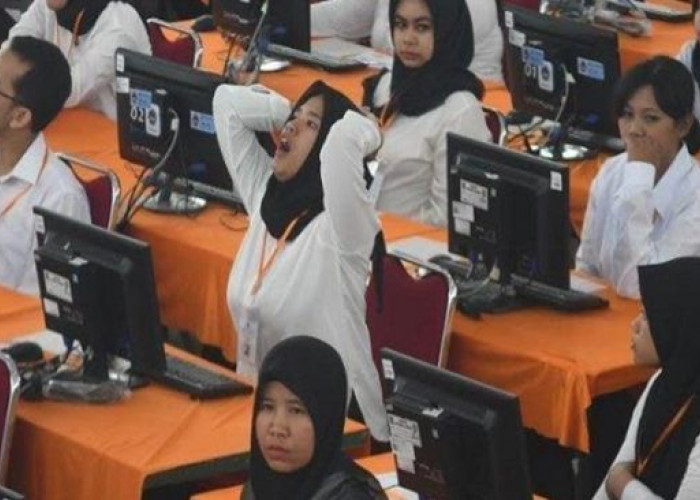 Persyaratan Tambahan Terbaru Pendaftaran PPPK 2024 yang Wajib Dimiliki Tenaga Honorer 