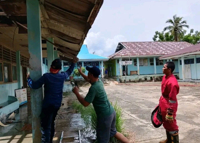 Sarang Tawon Vespa Affinis di Bengkulu Selatan Dievakuasi Tim RESCUE Pemadam Kebakaran