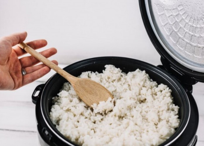 Pemerintah Bagikan 500 Ribu Rice Cooker Gratis Berstiker 'Hibah Kementerian ESDM'