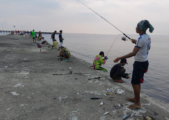 Dermaga Linau Kaur Dibanjiri Pemancing, Saatnya Berburu Ikan Tenggiri