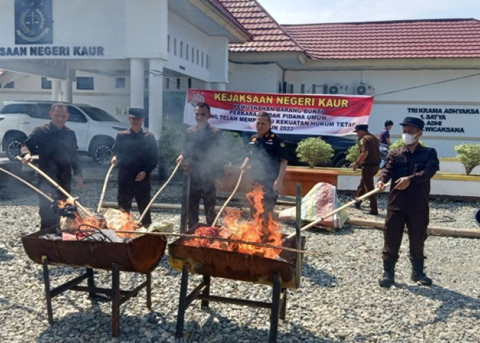 Kejari Kaur Musnahkan Barang Bukti 11 Perkara Kejahatan