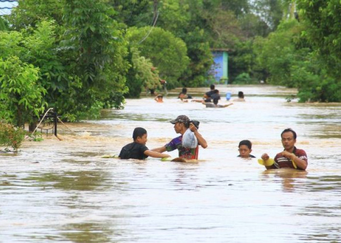 Banjir di Bengkulu: 3.170 Rumah Terdampak , 956 Warga Mengungsi