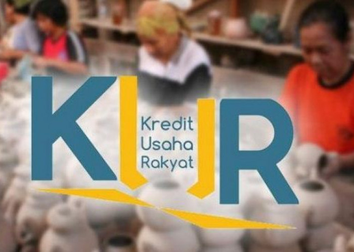 Realisasi KUR di Bengkulu Rp4.3 Triliun dengan 70.360 Debitur, Paling Banyak Lulusan Sekolah Dasar 