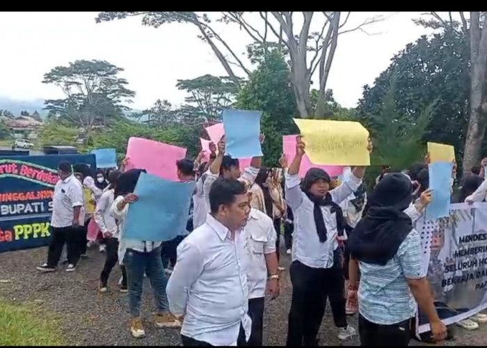 Puluhan Tahun Mengabdi, Ratusan Honorer Seluma Tuntut Kepastian Diangkat PPPK