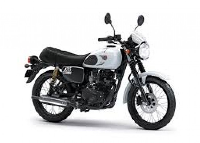 Kawasaki Perkuat Segmen Retro Lewat W175 ABS dan W175 STREET