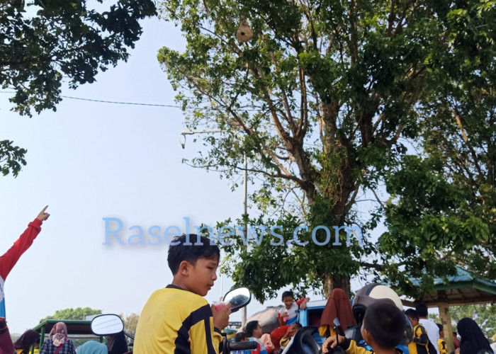 BREAKING NEWS: Sarang Tawon Ancam Warga Kaur