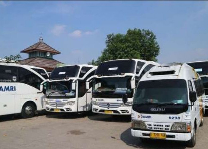 Pemprov Bengkulu Alokasikan Rp12 Miliar untuk Angkutan Haji, Lelang Mulai Diproses